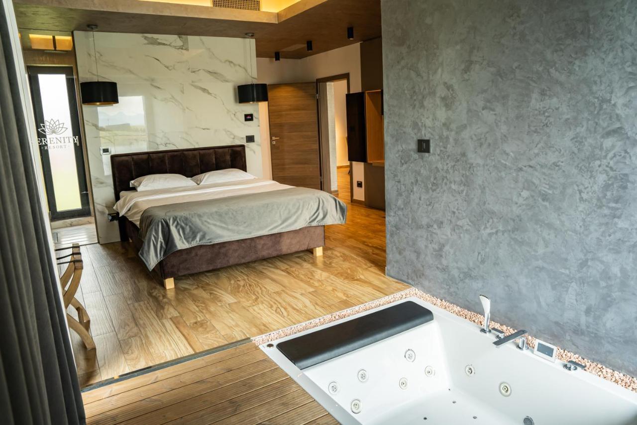 Hotel Serenity Codlea